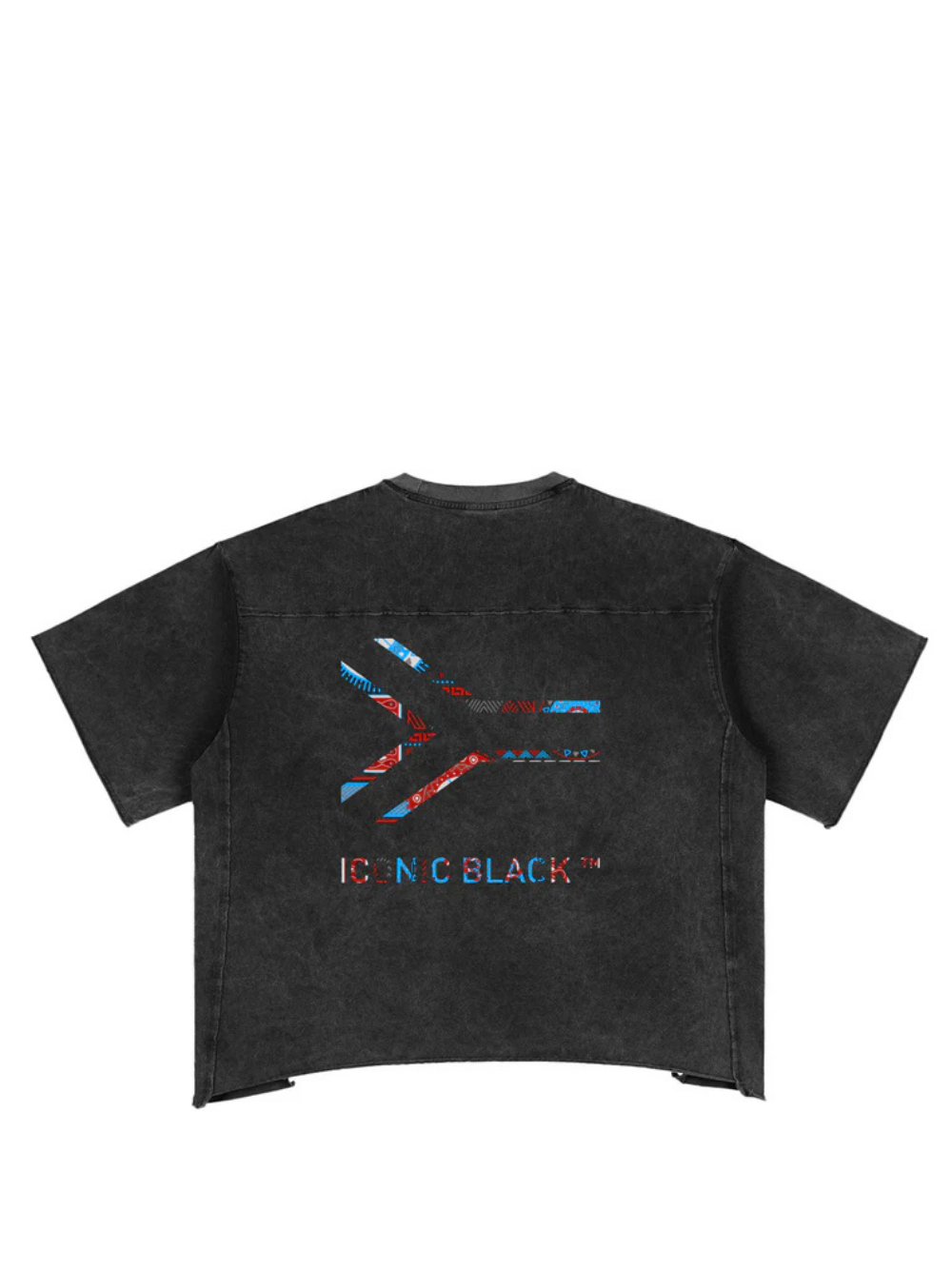 Iconic Black Raw Box Black T-Shirt