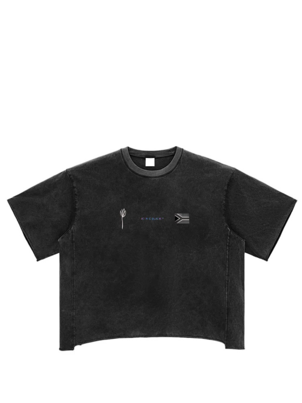 Iconic Black Raw Box Black T-Shirt