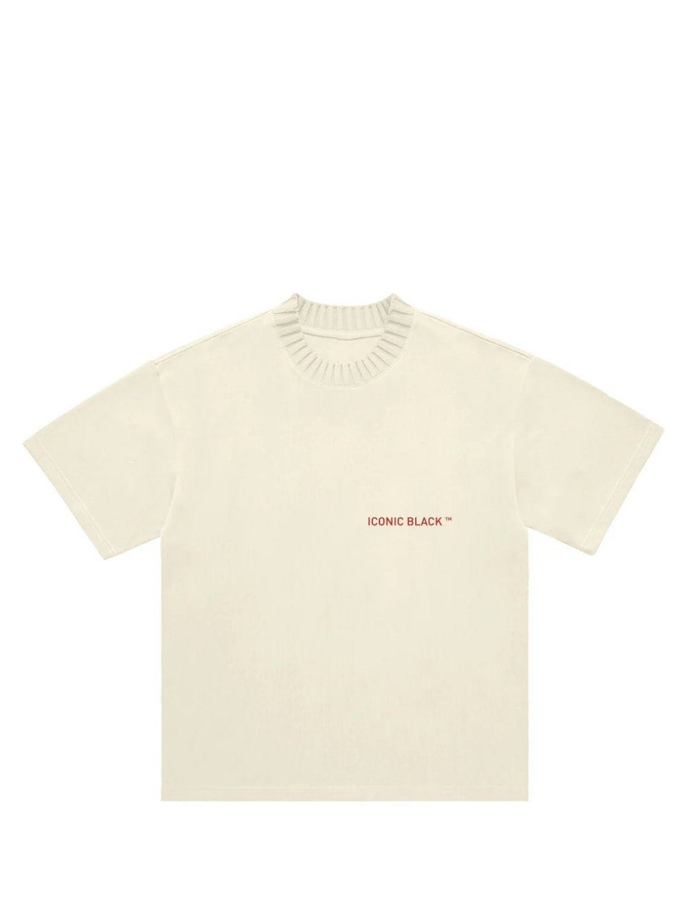 Iconic Black Knitted Collar T-Shirt